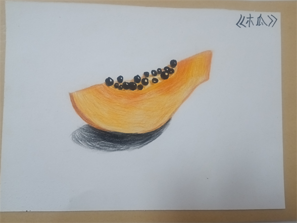 《木瓜》齐云路小学二（1）班杨菁菁&nbsp;.png